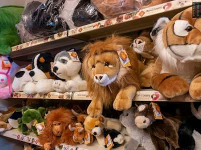 ...e centinaia di peluche raffiguranti orsi, scimmie e unicorni
